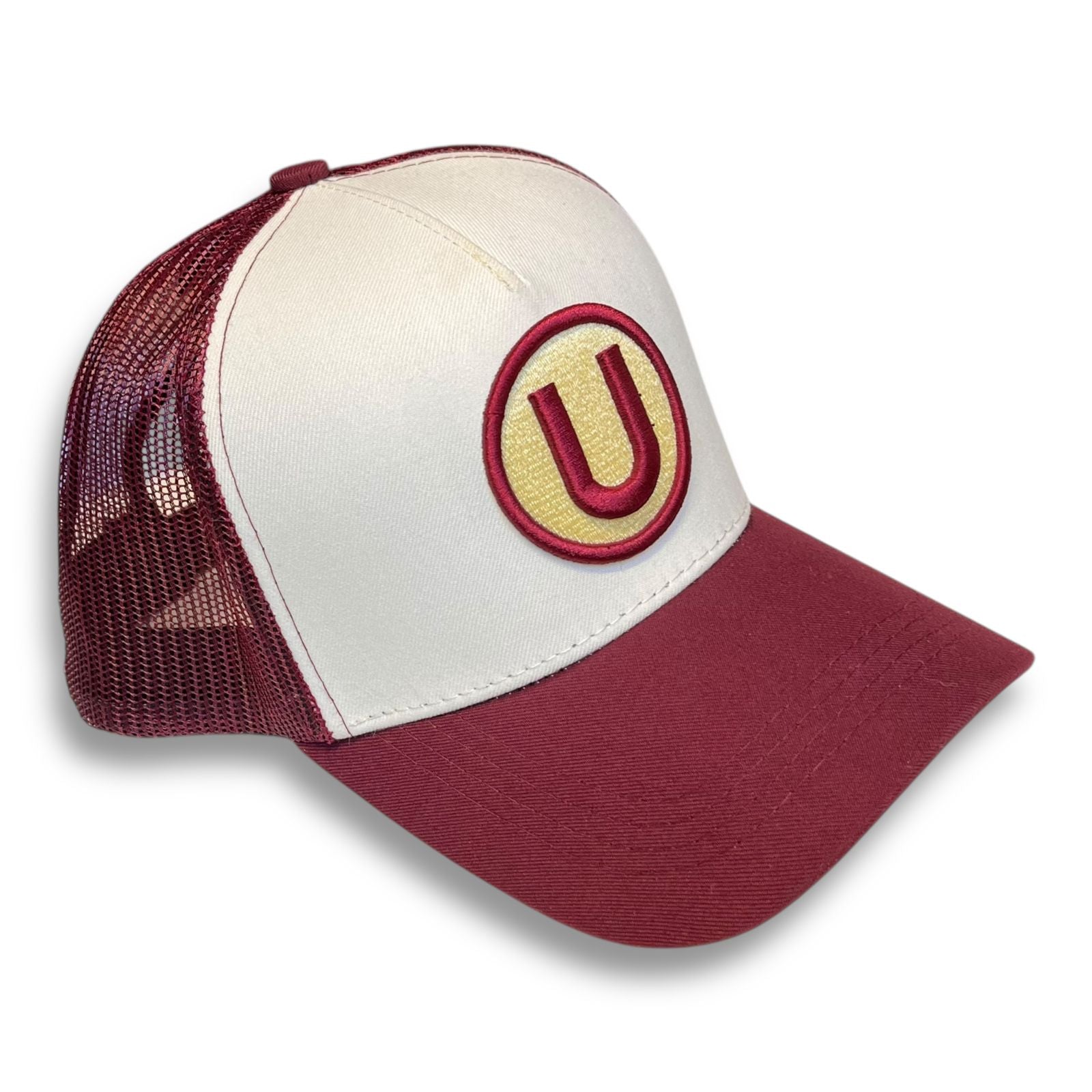 UNIVERSITARIO