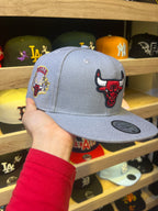 Chicago Bulls