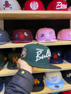 Chicago Bulls