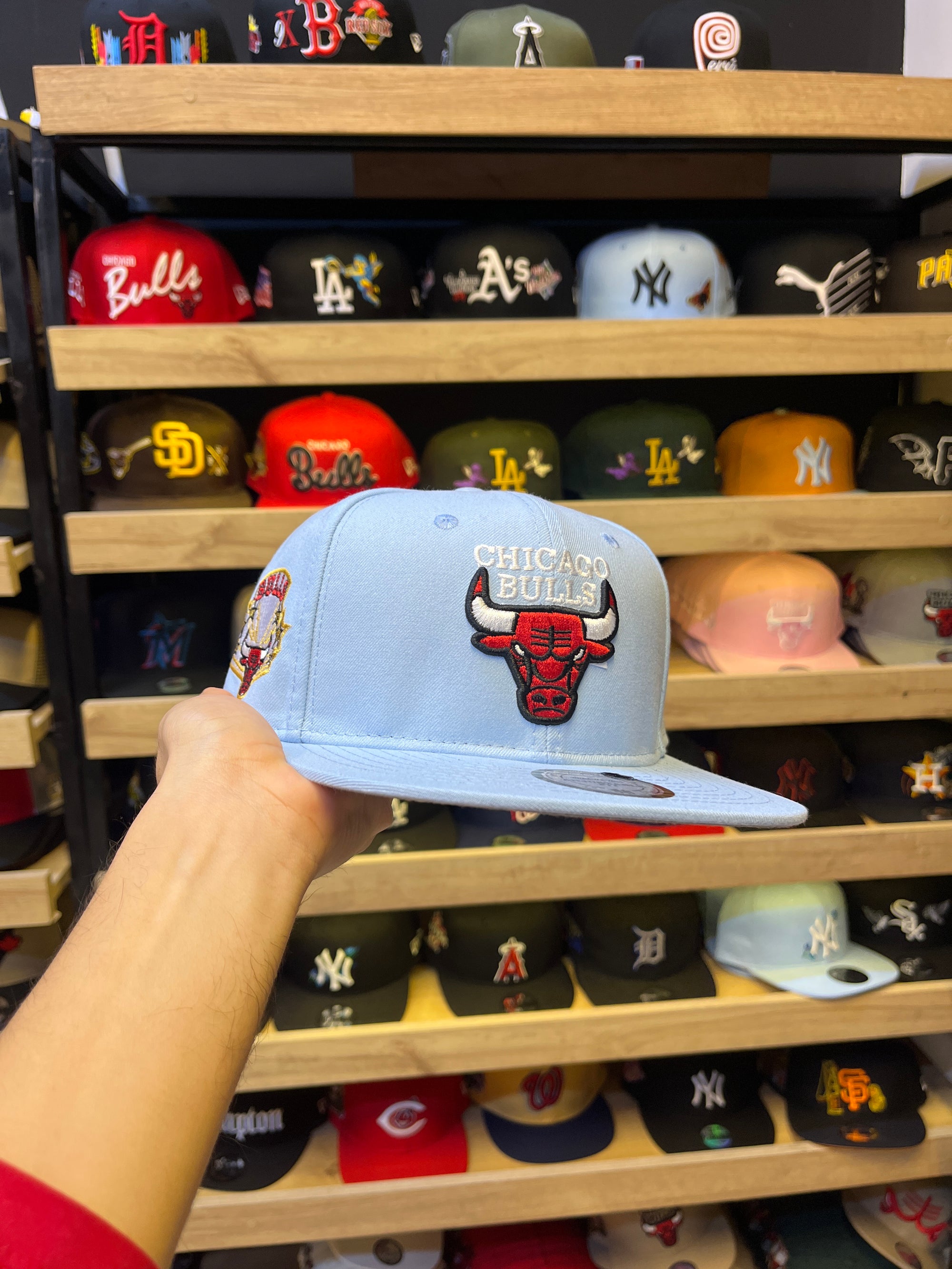 Chicago bulls