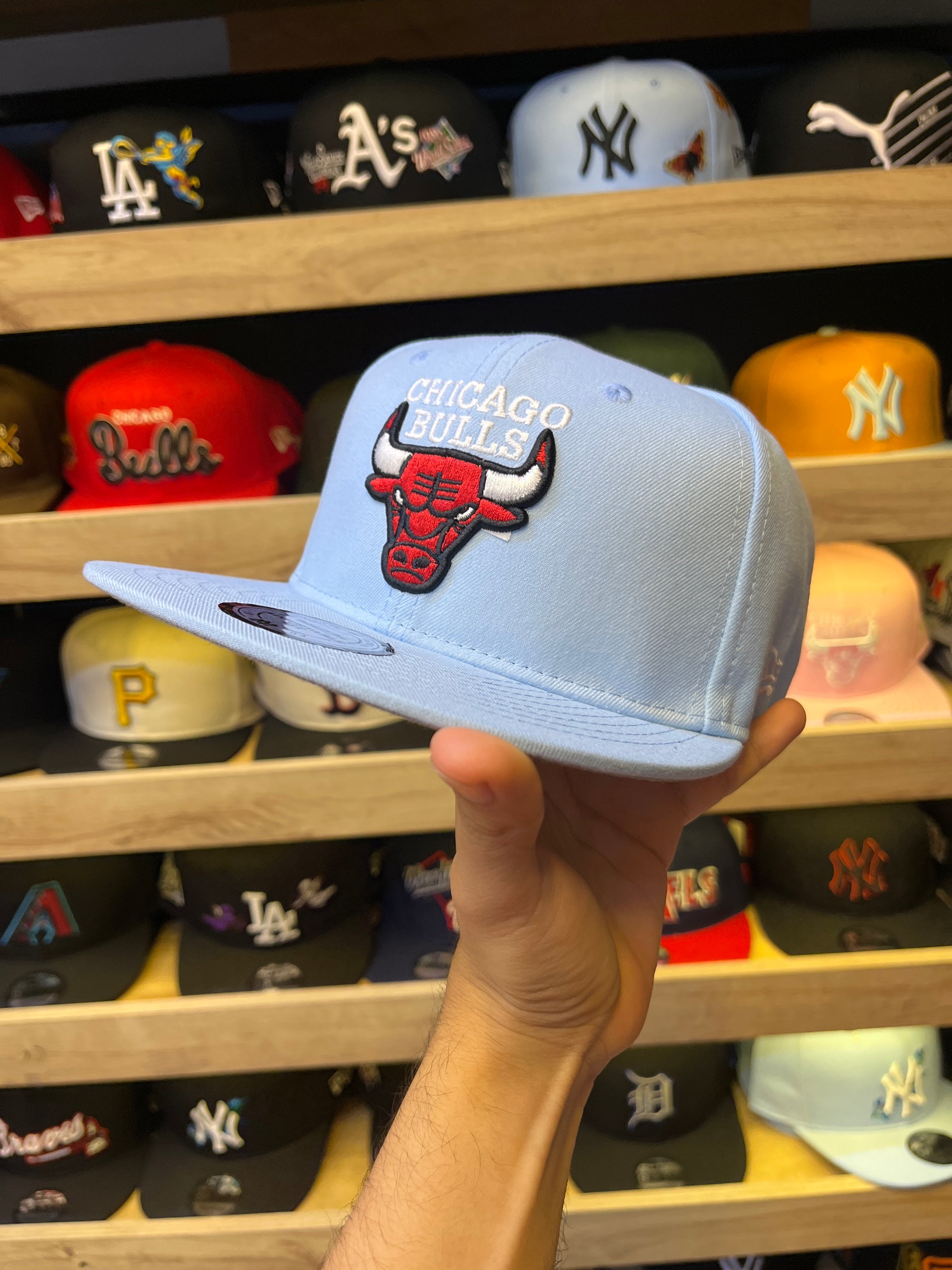 Chicago bulls