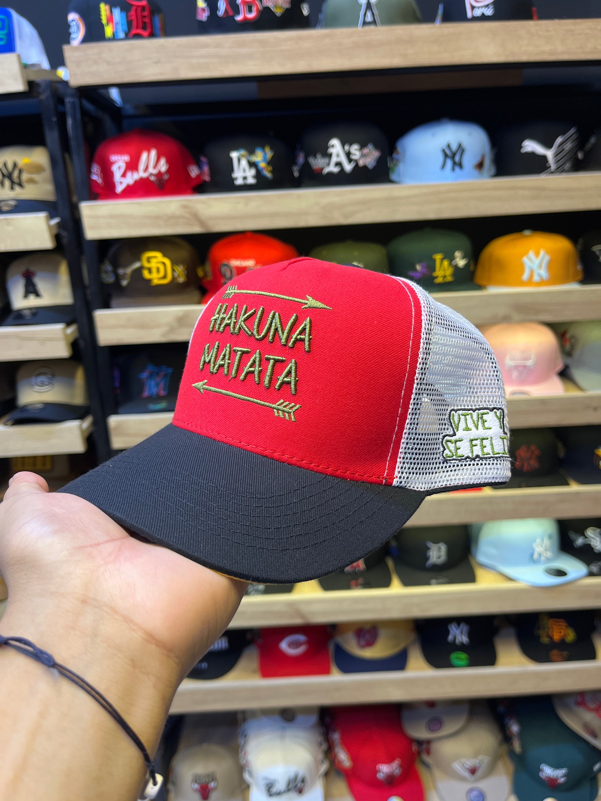 Hakuna Matata