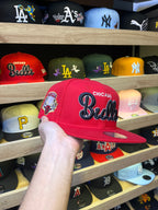 Chicago Bulls