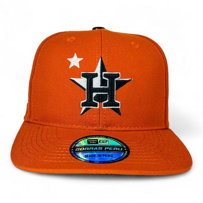 Houston Astros