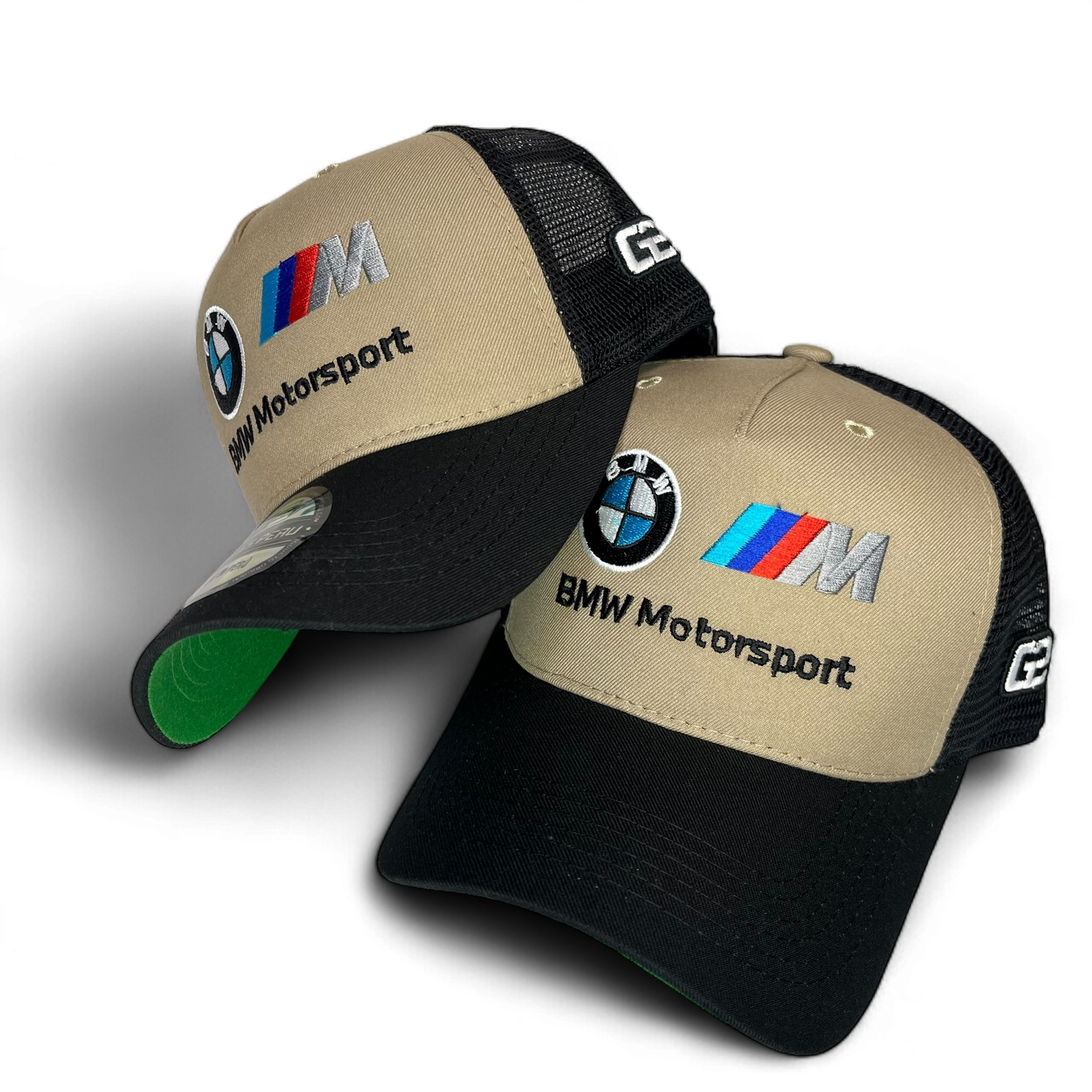 BMW Motorsport con Regulador