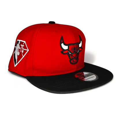 Chicago Bulls