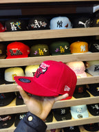 Chicago Bulls