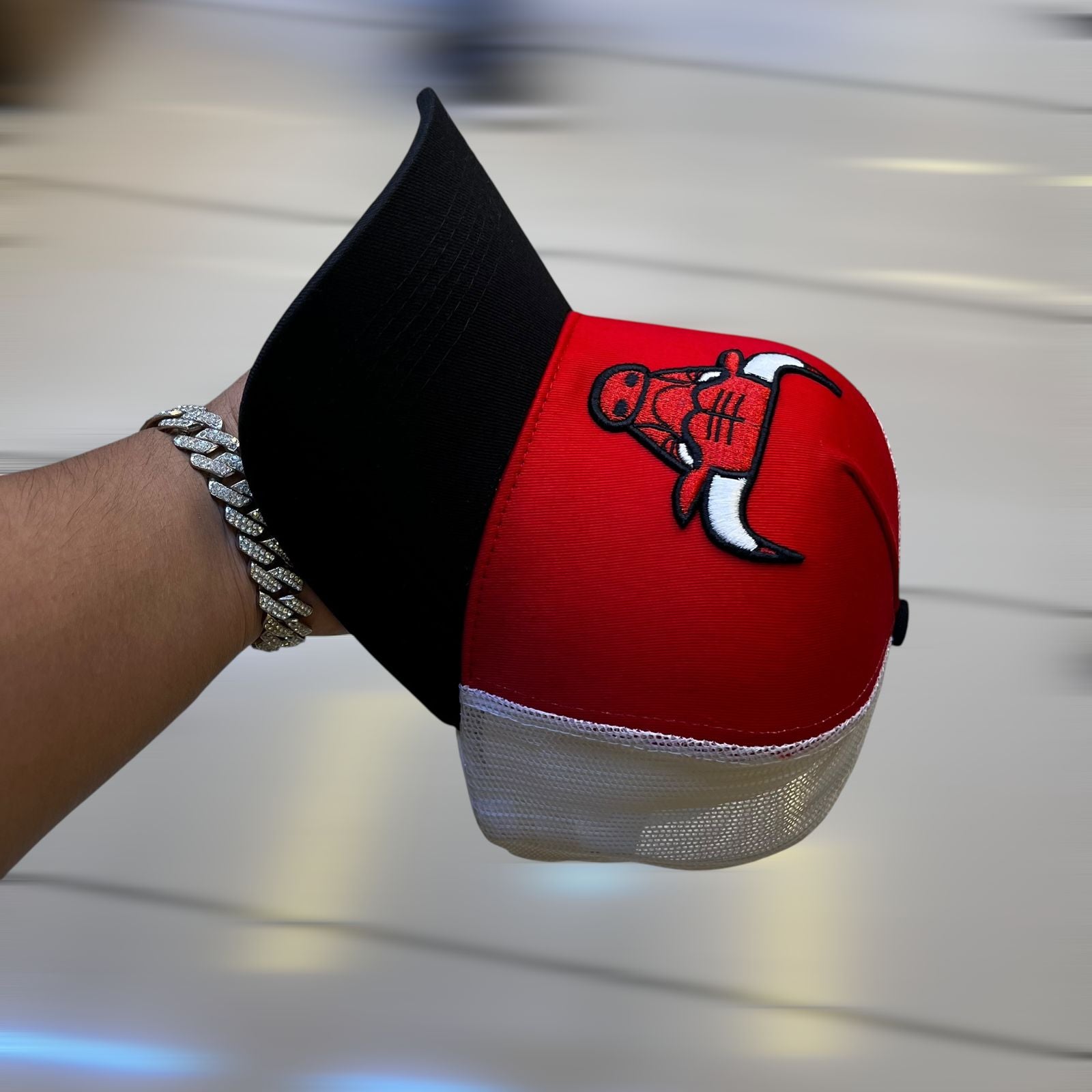Chicago bulls