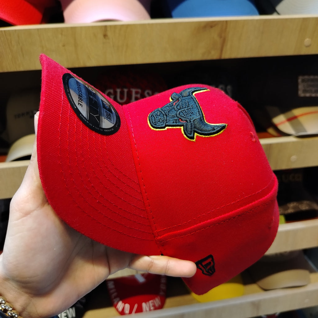 Chicago Bulls