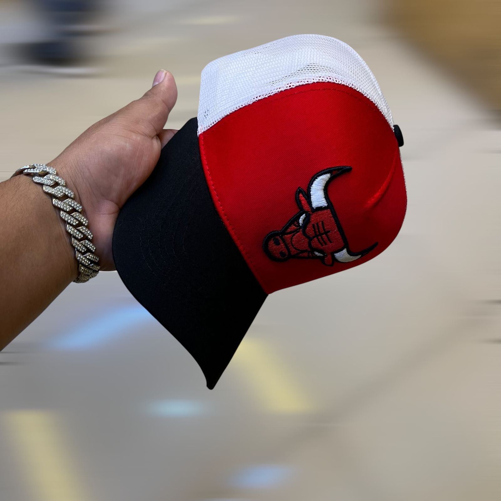 Chicago bulls