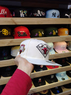 Chicago Bulls
